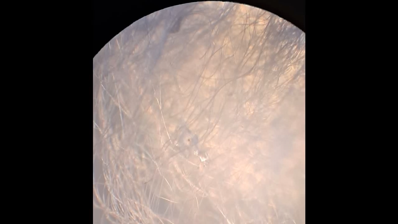 Electrospinning: Solution of Polystyrene in Methylene Chloride